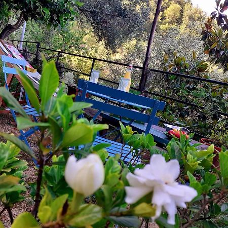 B&B I Glicini Vescina Kültér fotó