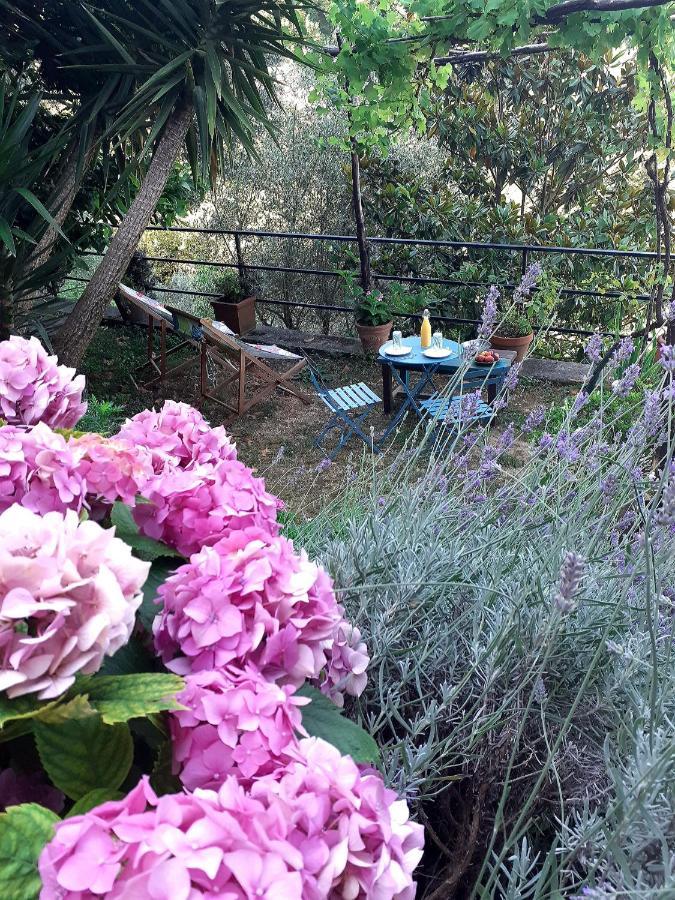 B&B I Glicini Vescina Kültér fotó