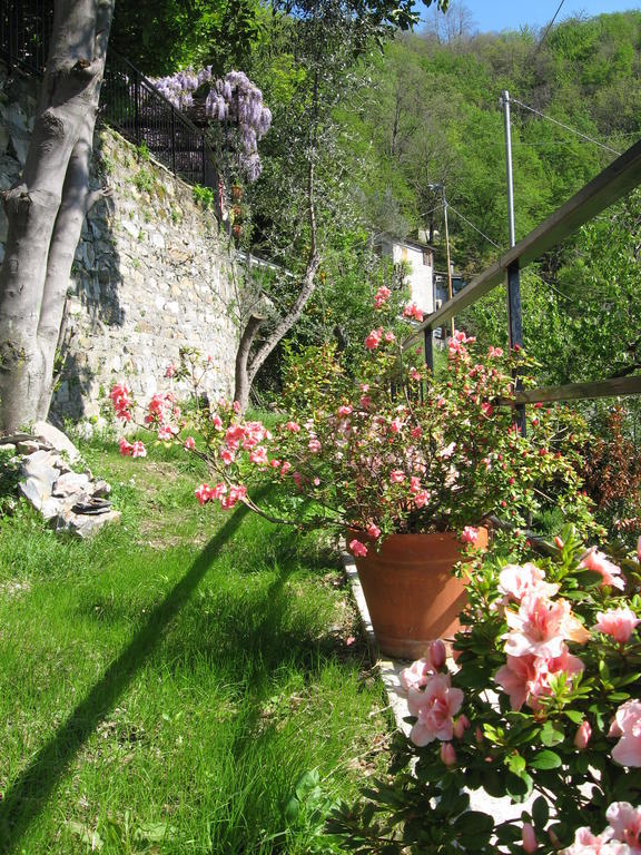 B&B I Glicini Vescina Kültér fotó
