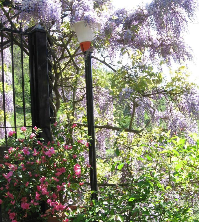 B&B I Glicini Vescina Kültér fotó