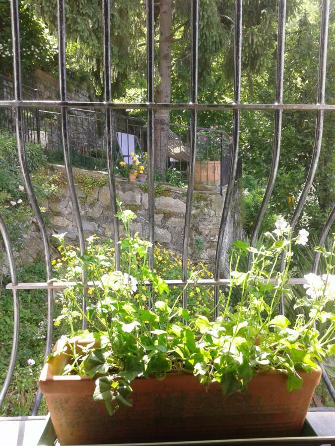 B&B I Glicini Vescina Kültér fotó