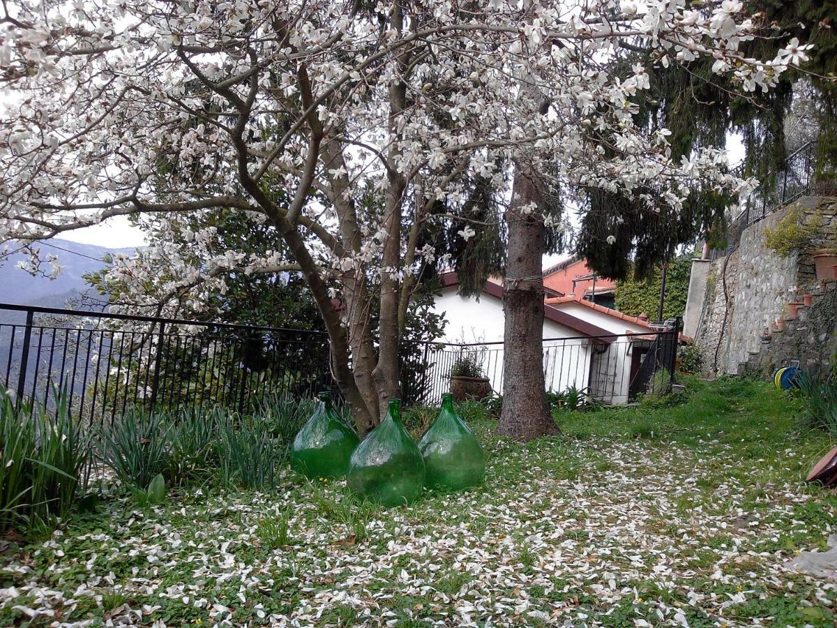 B&B I Glicini Vescina Kültér fotó