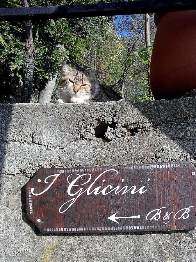 B&B I Glicini Vescina Kültér fotó
