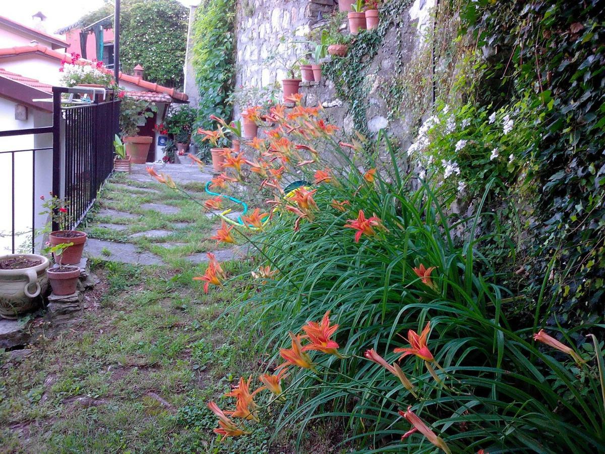 B&B I Glicini Vescina Kültér fotó