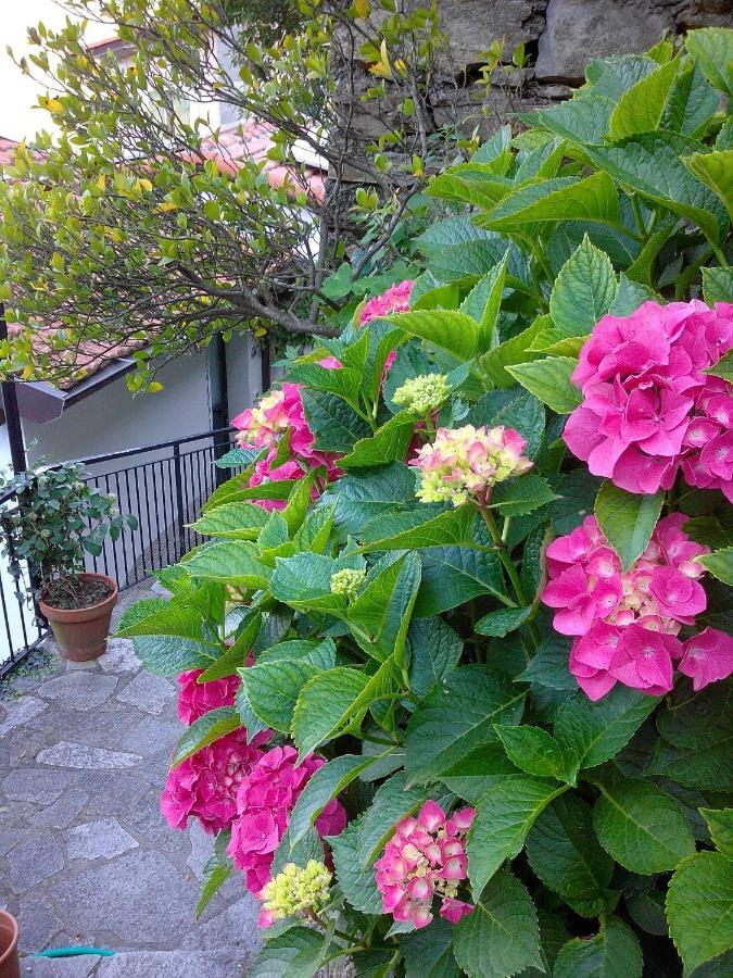 B&B I Glicini Vescina Kültér fotó